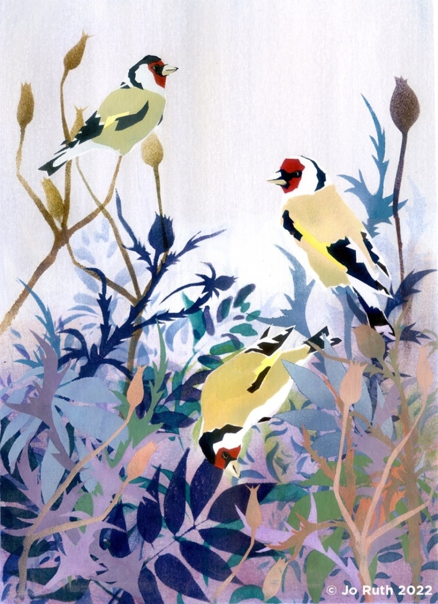  Goldfinches in Thistles © Jo Ruth