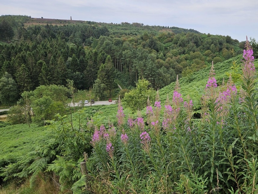 Overlooking Gribdale Car Park and Captain Cooks Monument © Richard Baines
